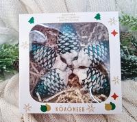 Набор ёлочных игрушек "Шишки 15", из 5 фигурок, в подарочной упаковке