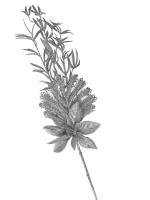 Ветка Новогодняя 2316, 64 см